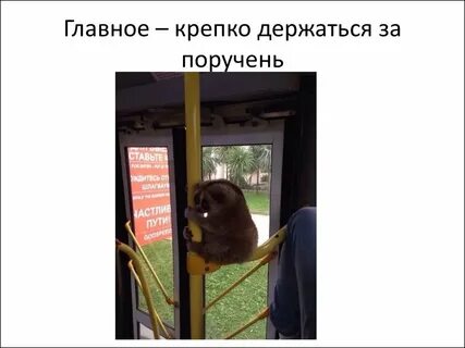 Держитесь за поручни