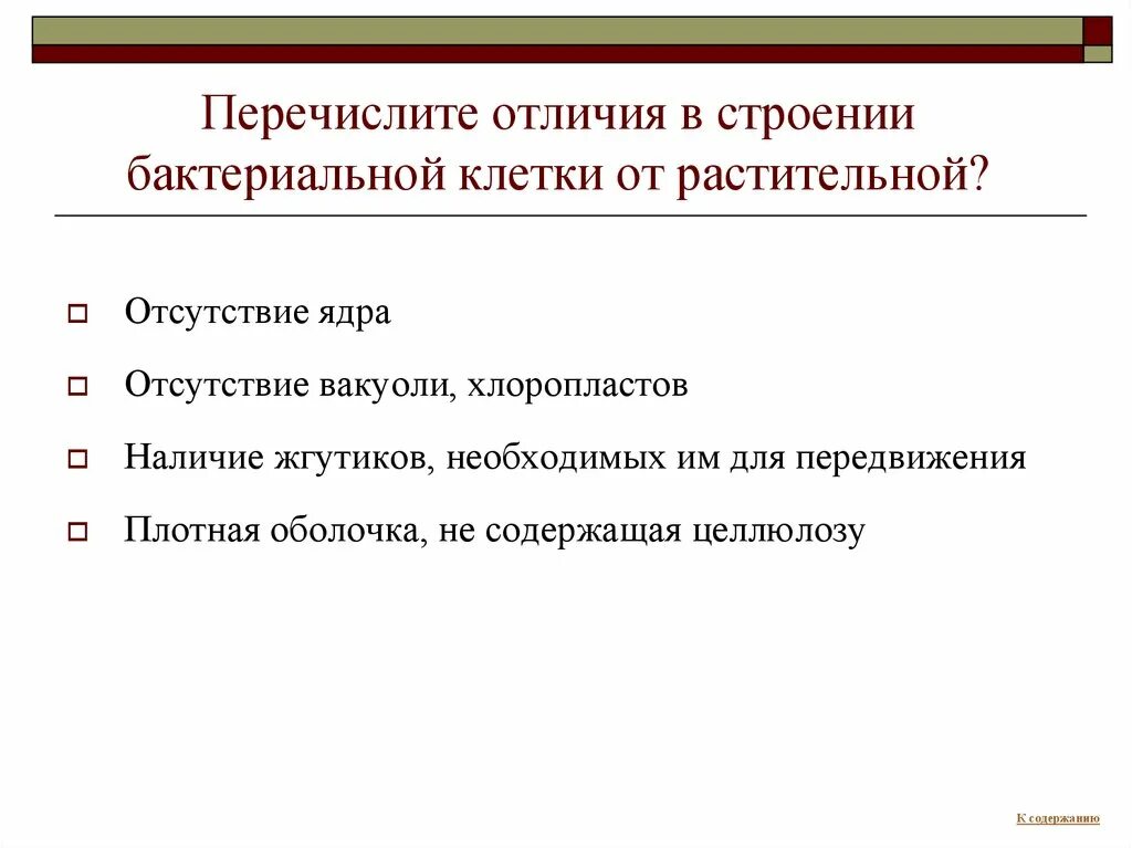 Отличие клетки растений от бактерий. Бактериальная клетка в отличие от растительной клетки. Отличие бактериальной клетки от растительной. Чем отличается бактериальная клетка от растительной. Сходство и различие бактерий и растений