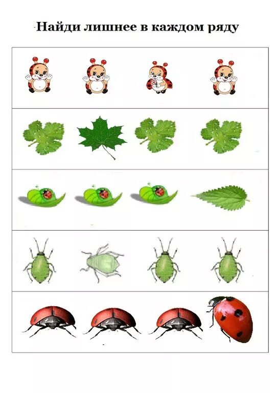 Насекомые для дошкольников. Насекомые задания для дошкольников. Развивающее занятие насекомые. Насекомые занятие для дошкольников.
