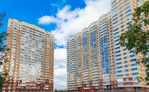 Полевая сабировская