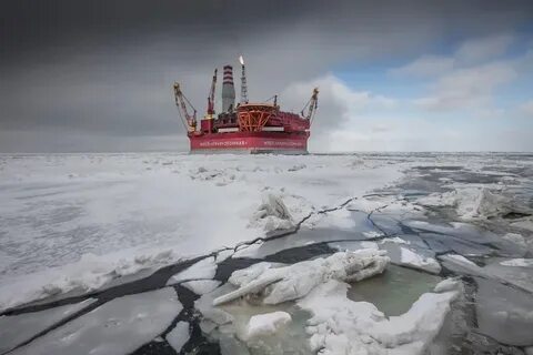 Арктические масла