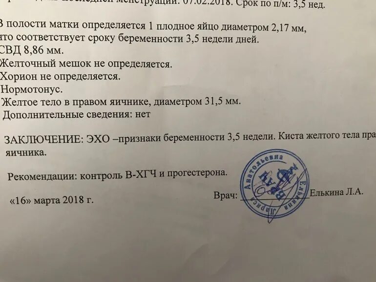 Узи на сроке 1 неделя. Заключение УЗИ 4 недели беременности. Справка о беременности на 2-3 неделе беременности. УЗИ на 5 неделе беременности заключения. Заключение УЗИ беременности 4-5 недель.