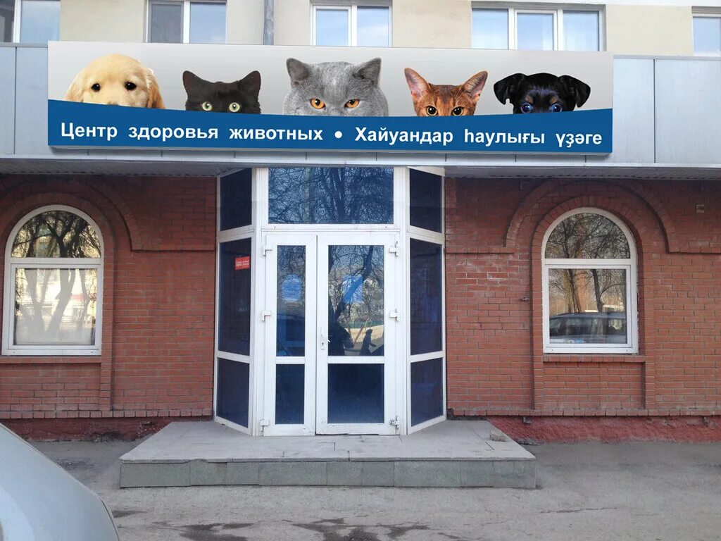 панацея ветеринарная клиника челябинск. ветеринарный центр, волгодонск, улица дружбы. вывеска для ветклиники. ветлечебница копейск. панацея ветеринарная клиника копейск.