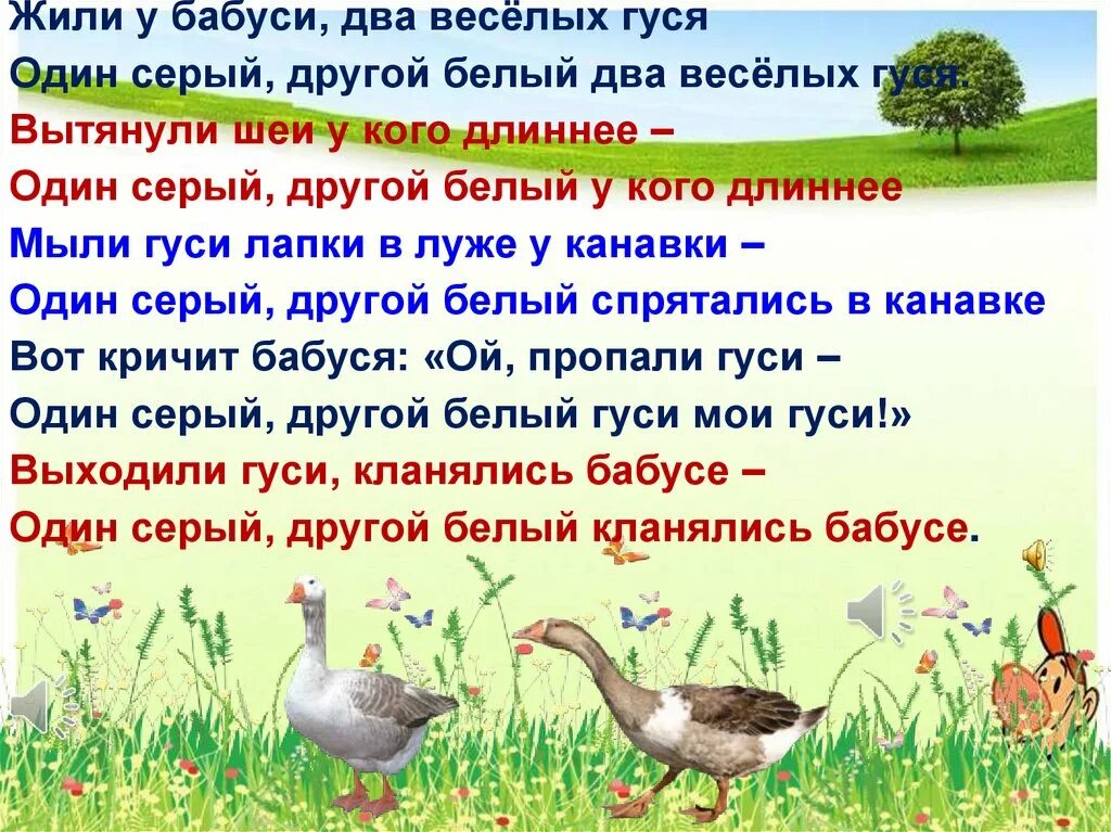 Жили у бабуси. Гуси жили у бабуси. Жили у бабуси 2 веселых гуся. Жили у бабуси два веселых гуся текст. Текст про гусей