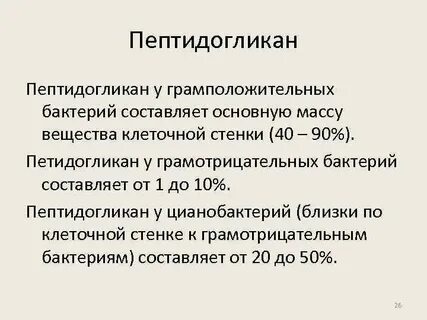 Пептидогликан бактерий