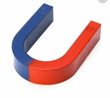 Magnet