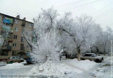 Широкий двор был весь покрыт сияющим белым