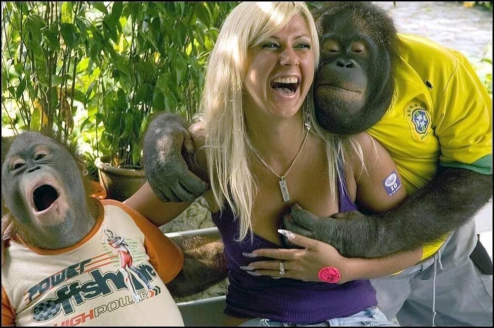 Девушка и обезьяна. Мужик с обезьяной. Смешные обезьянки. Девушка с обезьянкой.