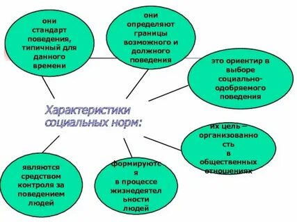 Это общие правила и образцы поведения