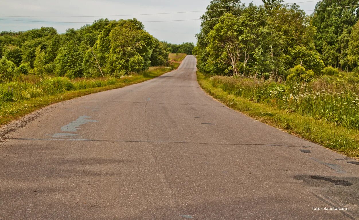 Даймище рггму. Братское захоронение даймище. Даймище гатчинский район. База даймище. Памятники вов в гатчинском районе.