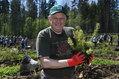 Лесное мероприятие