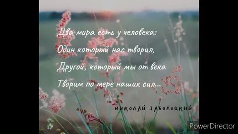 Заболоцкий стих уступи мне скворец уголок