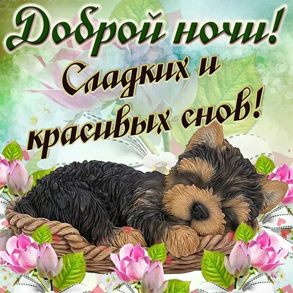 Картинка спокой. Открытки спокойной ночи. Спокойной ночи сладких снов. Открытки спокойнойночки. Открытки спокойной ночи сладких снов.
