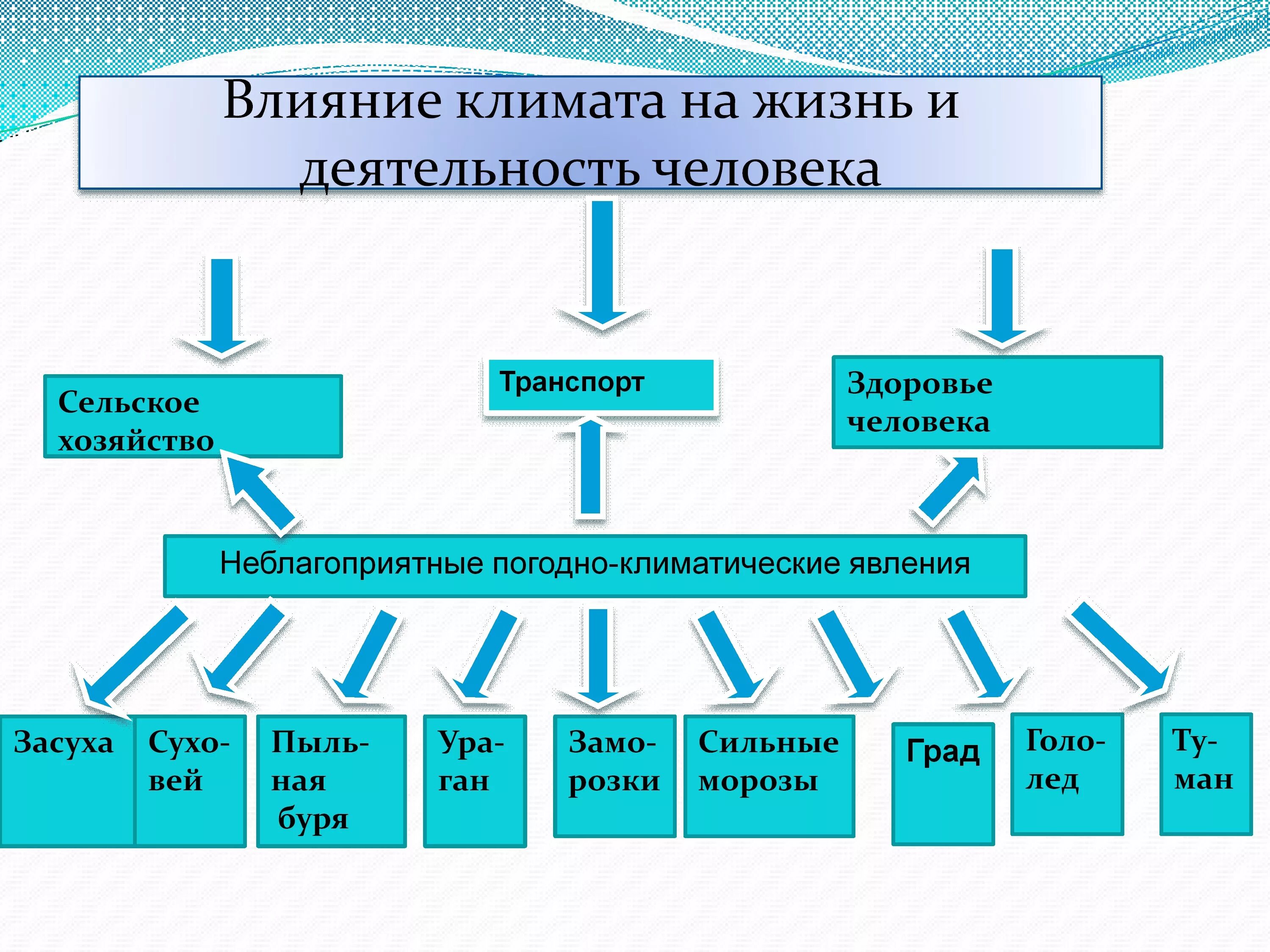 Влияние климата на жизнь и хозяйственную деятельность человека. Влияние человека на климат. Влияние климата на хозяйственную деятельность. Влияние деятельности человека на климат.