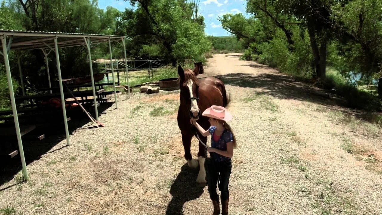 ! Murcia today - horrifying Case of animal abuse uncovered at Murcia Horse Farm. Horse story