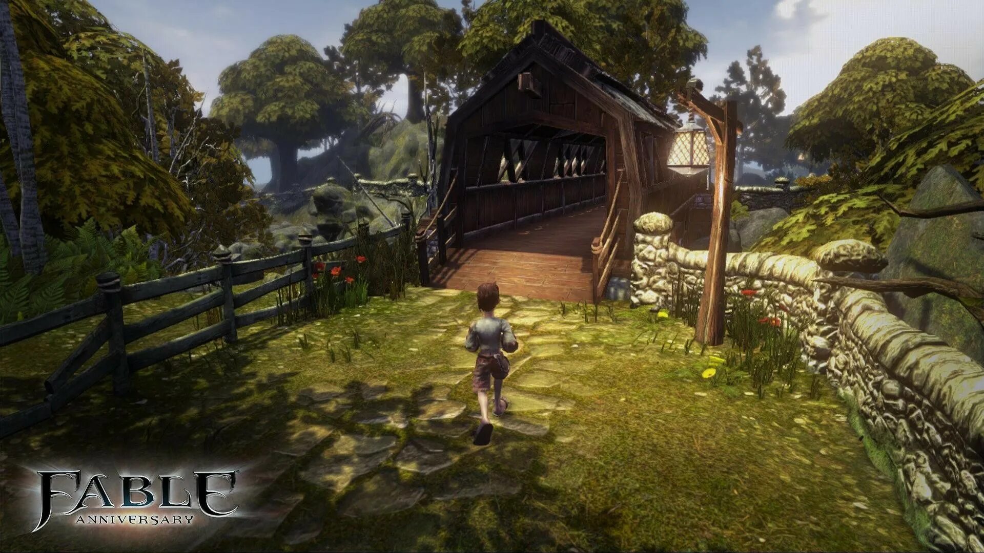 Fable cottage. Фабл Анниверсари. Игра Fable Anniversary. Fable Anniversary (2014). Fable 1 Remastered.