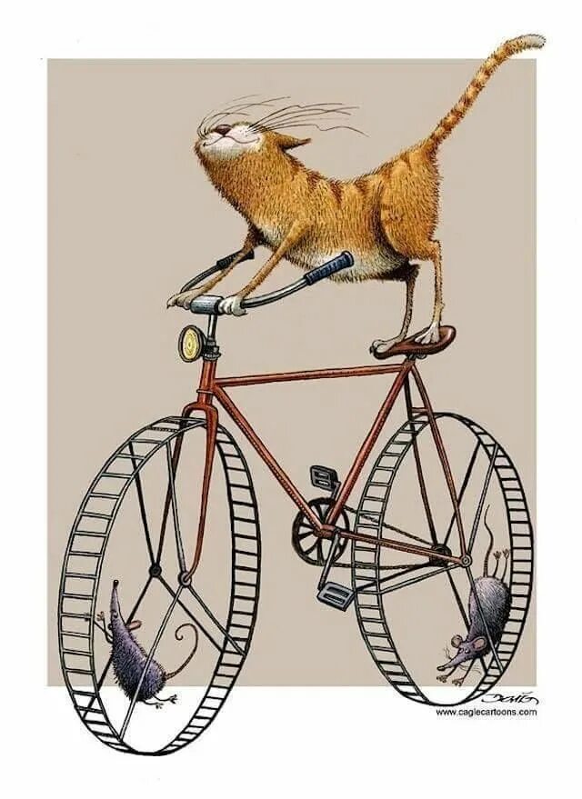 Кот едет на велосипеде. Кот на велосипеде. кошачий велосипед. мышь на велосипеде. звери на велосипеде.
