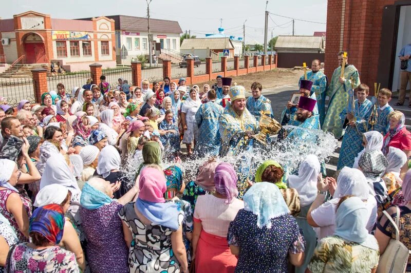Прогноз в александрове гае