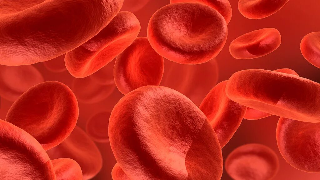 Селезенка и эритроциты. Клетки крови. Эритроциты. Гемоглобин фото под микроскопом. Клетки крови фон.