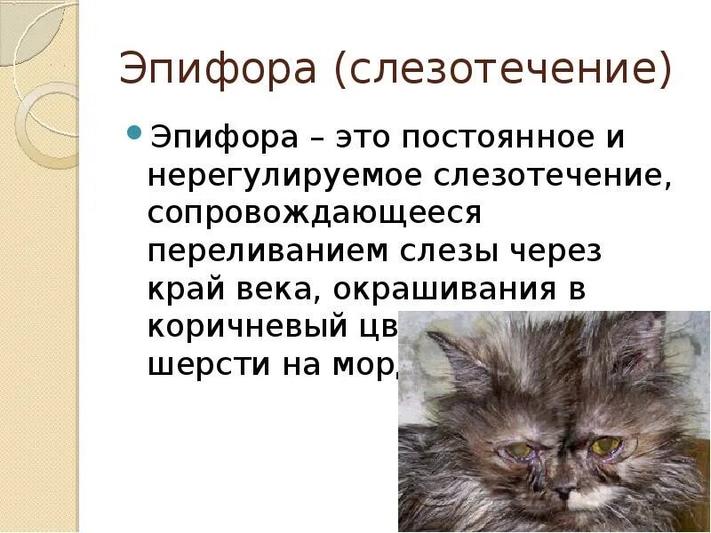 Эпифора глаз