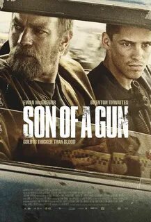 Son of a gun