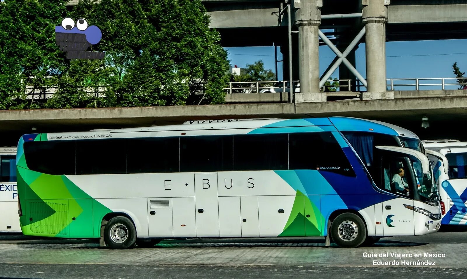 E91 автобус. Автобус e609xm. Автобус e70. Хайфский Метронит Супербус e Bus. 145 э автобус