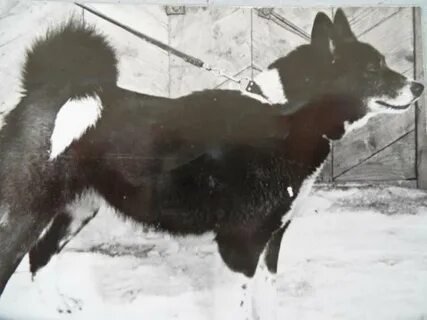 Уг рел
