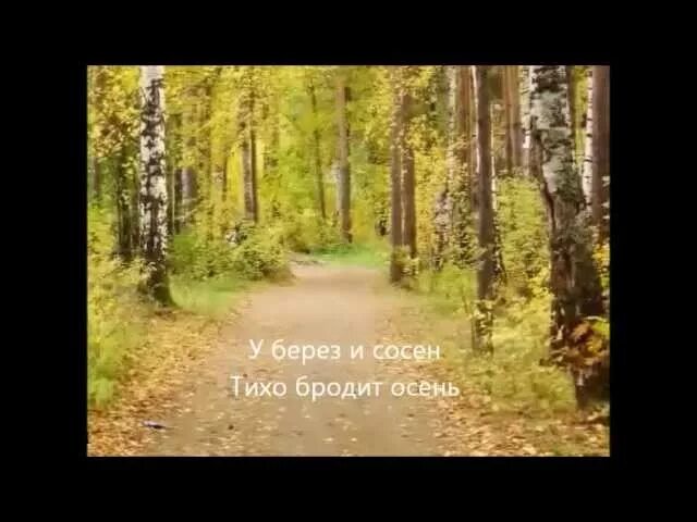 Клён песня караоке с текстом. В парке пахнет хвойной тишиной. В парке пахнет хвойной тишиной. Ветер весело примчал. Песня в хвойной в старом парке.