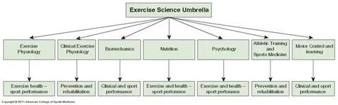 Exercise science