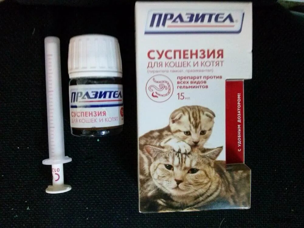 Как часто можно глистогонить. Празител таблетки для кошек (2 табл.). Таблетки для котов от диареи. Таблетки для котов от жидкого стула. Празител суспензия для кошек.
