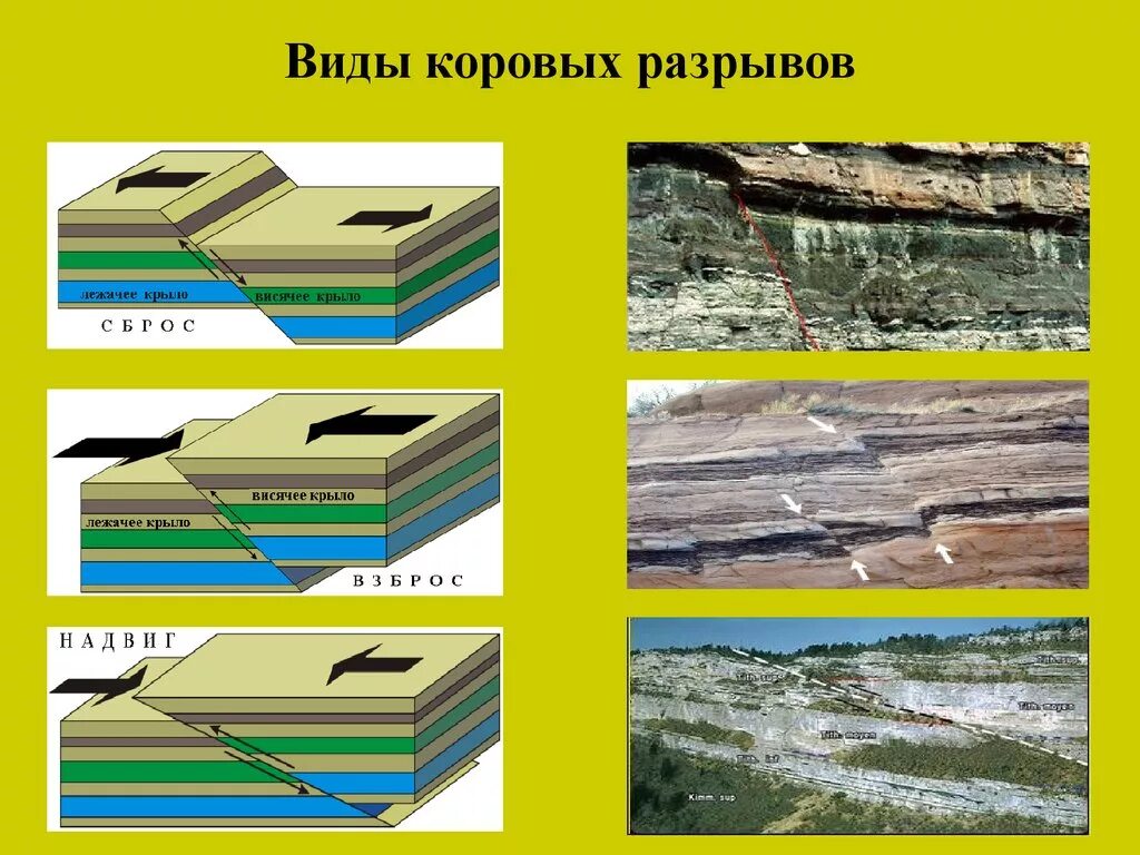 Результаты тектонических движений. Тектонические движения земной коры. Типы тектонических движений земной коры. Складчатые и разрывные тектонические нарушения. Складчатые движения земной коры.