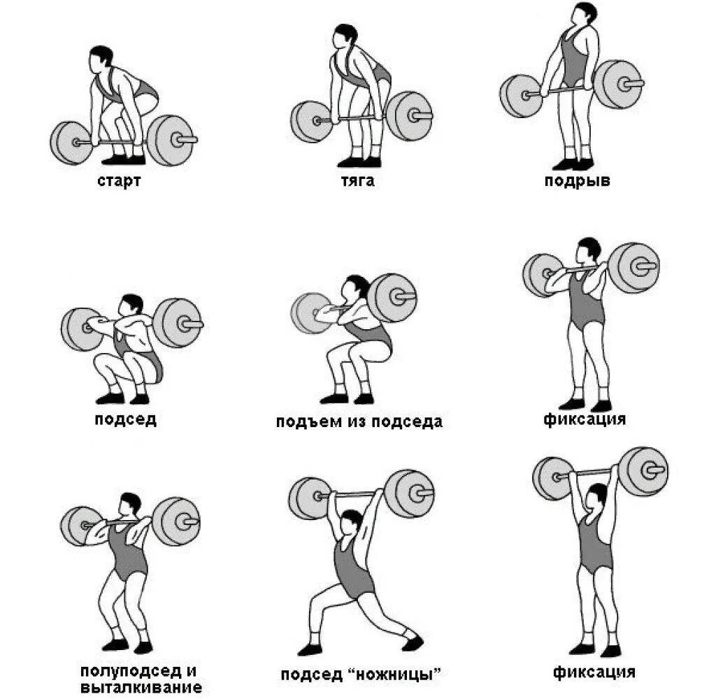 Техника толчка штанги в тяжелой атлетике. Тяжелая атлетика схема рывок, толчок. Техника рывка штанги в тяжелой атлетике. Фазы рывка в тяжелой атлетике.