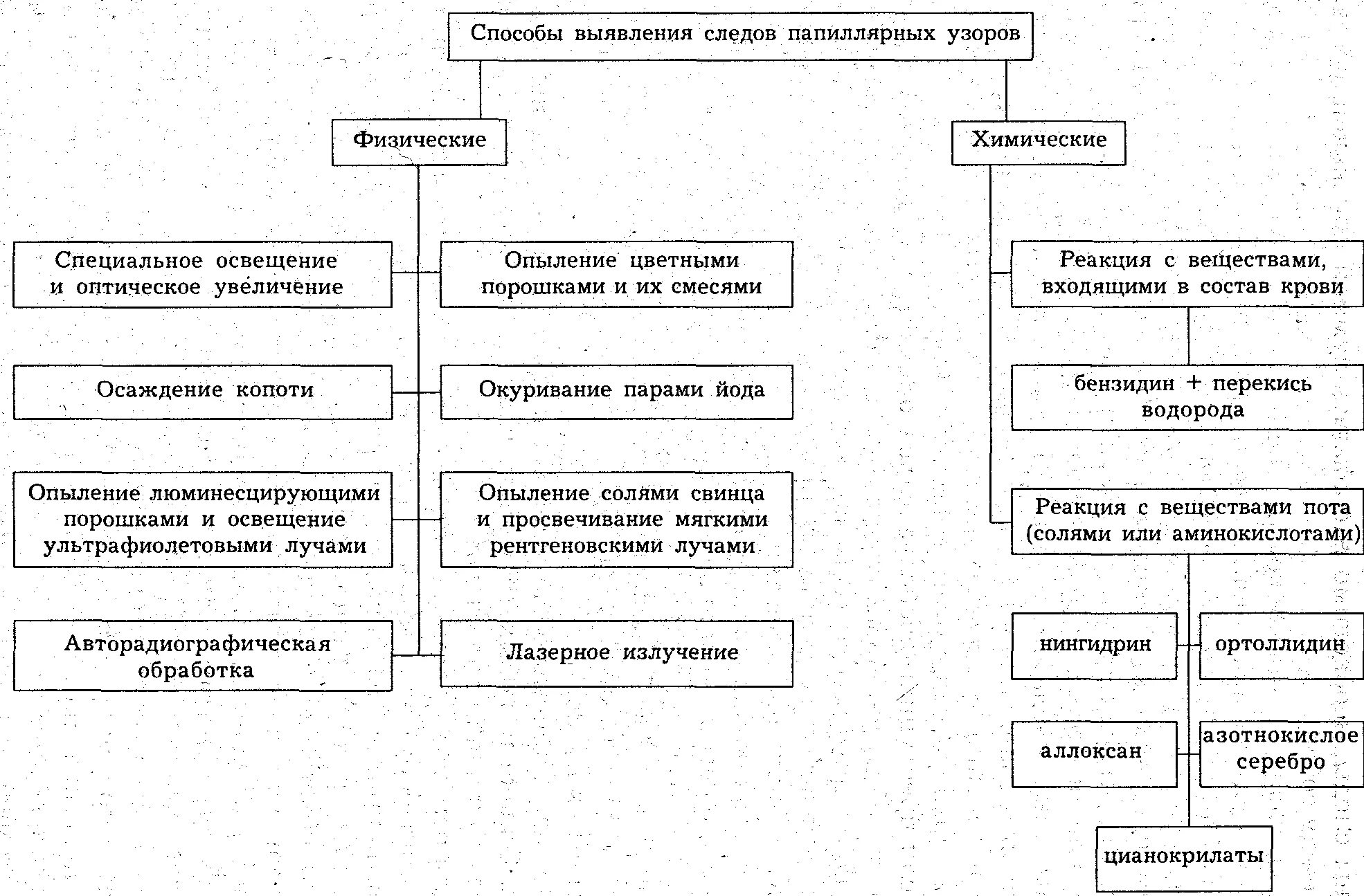 Визуальный след. Методы обнаружения следов пальцев рук. способы выявления следов папиллярных узоров. химические способы выявления следов папиллярных узоров. химический способ обнаружения следов рук.