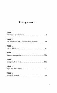 Записки о скизи дзен последние