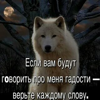 Говорит гадости про бывшего