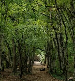 Tourist camp Urkusta-park, Sevastopol, photo.