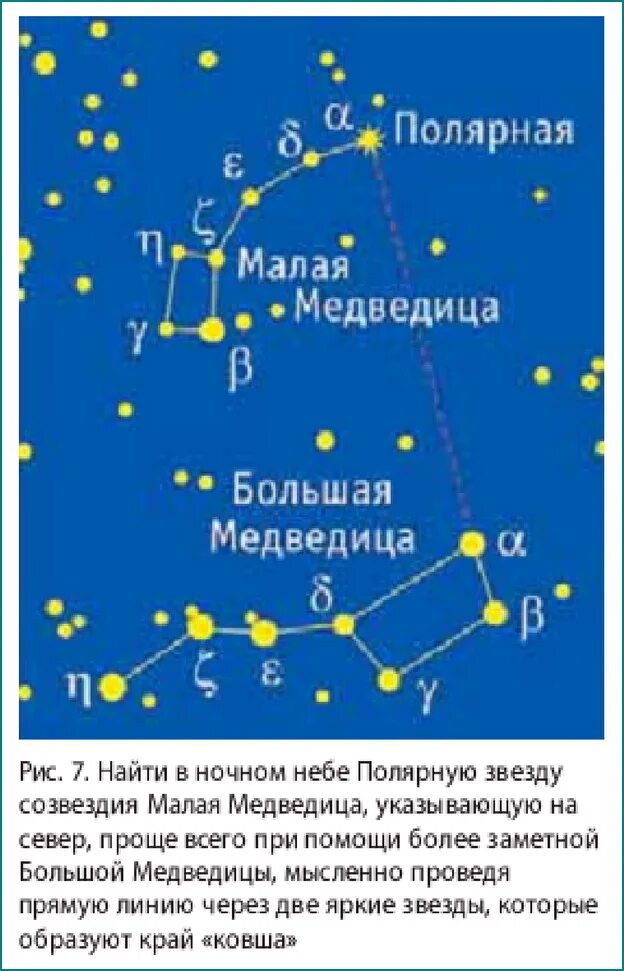 Зона северная звезда где находится в россии. Большая Медведица и Полярная звезда расположение на небе. Звезды в созвездии малой медведицы. Как найти полярную звезду. Как найти полярную звезду на небе.