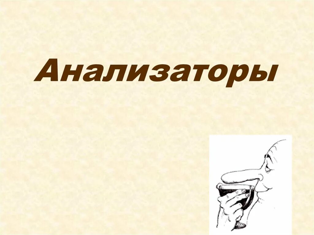 Презентация анализаторы органы чувств. Анализаторы человека презентация. Слайд анализатора. Картинки анализаторы человека для презентации. Конец презентации про анализаторы.