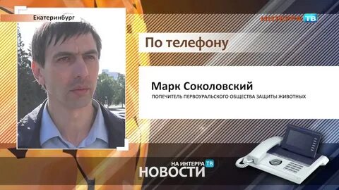 Соколовский солнечногорск
