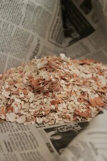 Можно поливать рассаду яичной скорлупой