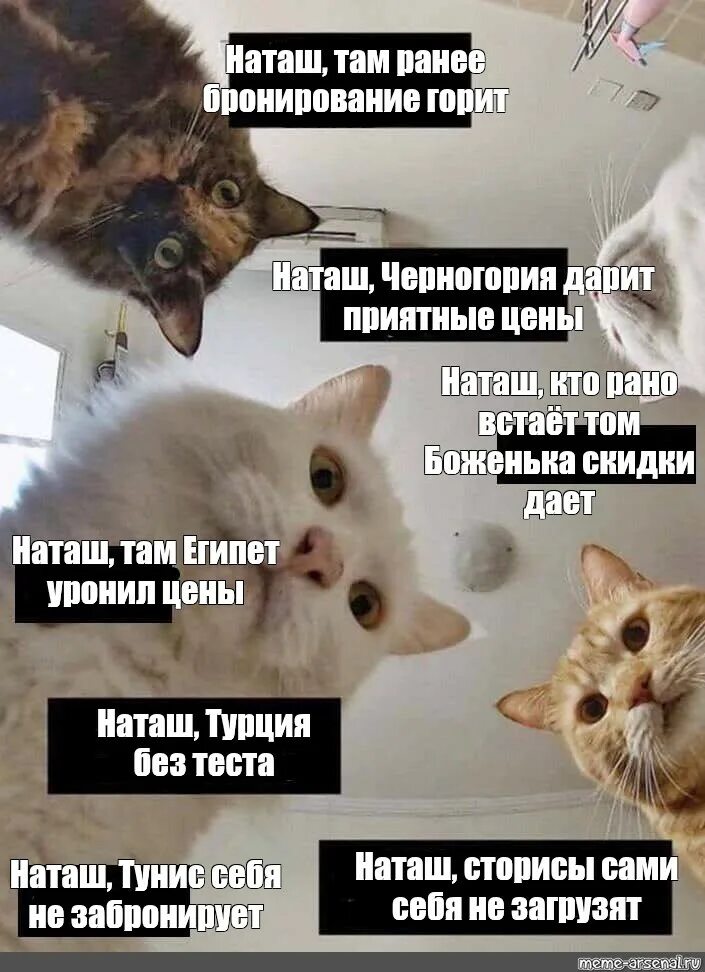 "#наташа" Пикабу