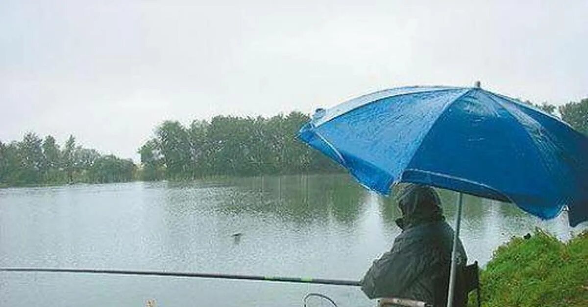 Ловить погоду. Рыбалка в дождь. Рыбалка под дождем. Рыбалка в дождик. Рыбак под дождем.