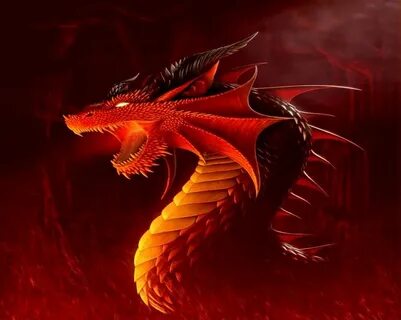 Dragon se
