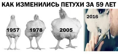 Сколько пари
