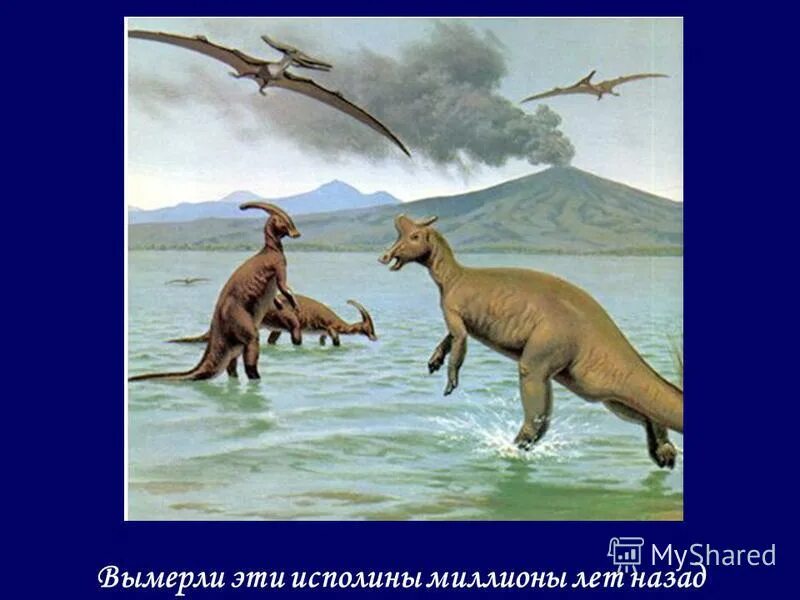 плезиозавр лохнесское чудовище. что было 1000000 лет назад. что было 1000000 лет назад. что было 1000000 лет назад. Menefeeceratops sealeyi.