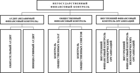 Структура негосударственных организаций