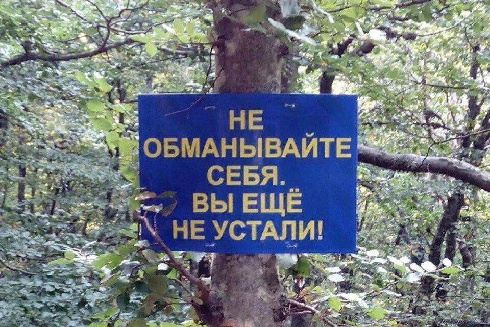 А ты не устаешь говорить