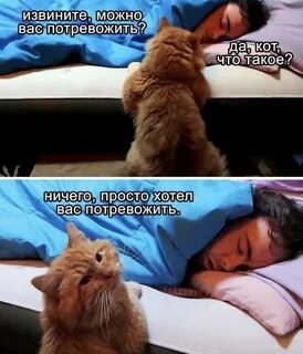 Через прикол