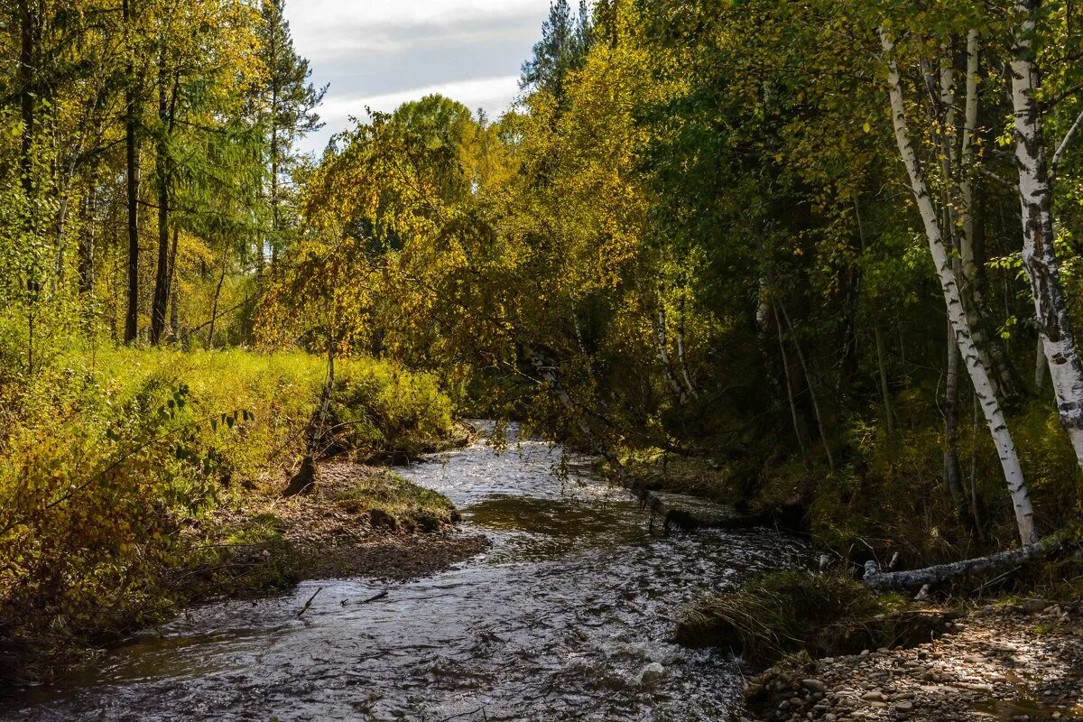 Тихая речушка. Река китерня ишимский район. Река ржевка. Незаметна эта речушка. Парк шмелевский ручей.