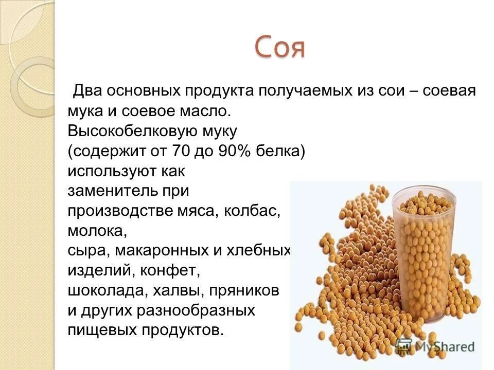 Соя перевод на русский. Соя в пищевых продуктах. соя соевые продукты. соевый белок где содержится. где содержится соя.